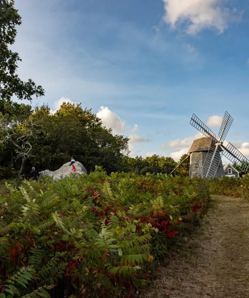 Old style wooden windmill in background of rural setting