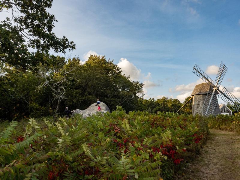 Windmill in rural setting