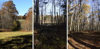 3 images of Hubbardston highlighted property