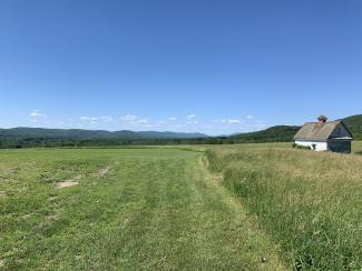 cut field uncut field farmhouse wide open view to sky