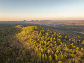 Aerial view of Sarah Cowls Jones Forest in Pelham