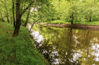 Upper Taunton River at Wyman North Fork Conservation Area, Bridgewater.
