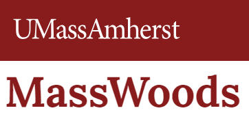 umass amherst mass woods logo